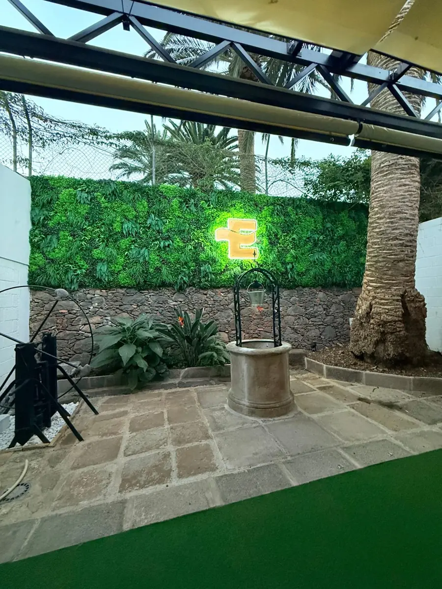 Jardín vertical en patio con pozo